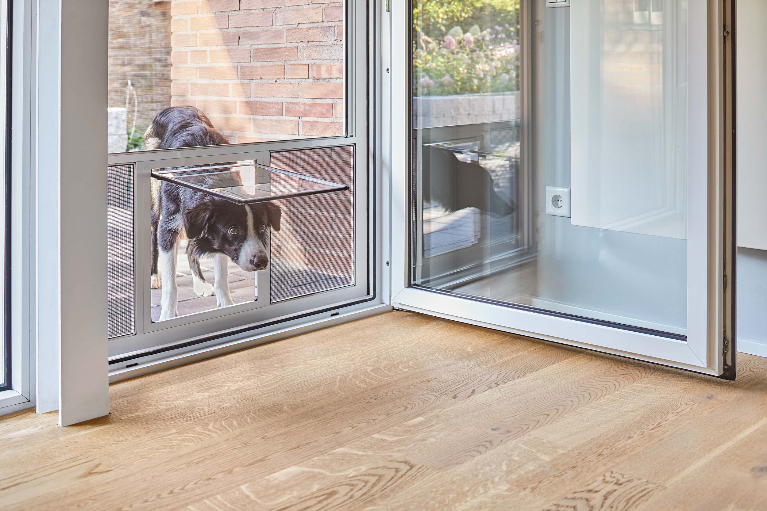 Insektenschutztür mit Katzen- & Hundeklappe